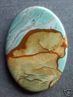 Big HornJasper.jpg