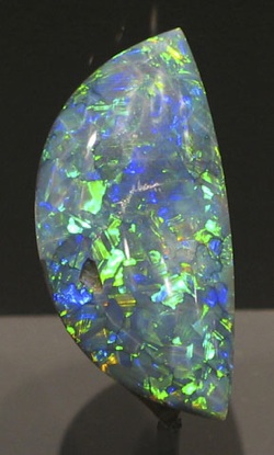 Black_Opal_Smithsonian2.jpg